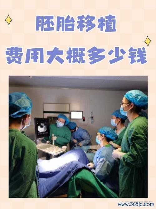 人工助孕技术详解试管婴儿与胚胎移植优势 人工助孕技术详解试管婴儿与胚胎移植优势